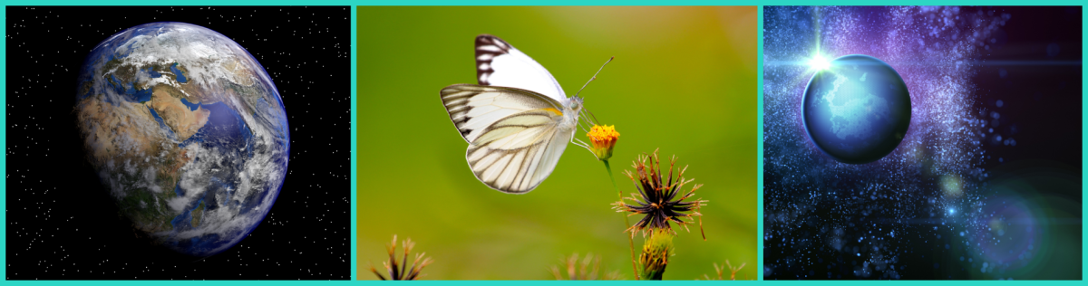 An image of Earth from space, followed by a butterfly on a flower in a green background. There is a final image of a mysterious planet in space with a background of stars.