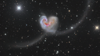 Picture showing the Antennae Galaxies, a pair of interacting galaxies that have formed a colorful heart-shaped nucleus in the centre with two long tails on either side.