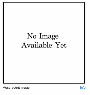 A screenshot of a square box with the words "No Image Available yet" inside. Beneath there is a label reading "Most recent image".