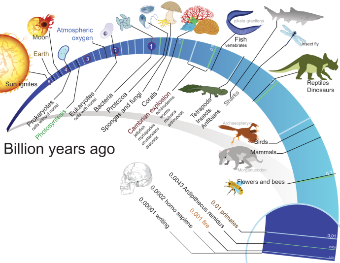 An illustrated timeline of the evolution of life on Earth, starting with the ignition of the Sun and the formation of the Earth and Moon. The timeline tracks key events such as the appearance of prokaryotes, the development of photosynthesis, the rise of eukaryotes, and the Cambrian explosion. Further along the timeline, it shows the evolution of vertebrates, reptiles, mammals, birds, and humans, with markers for significant milestones such as fire, writing, and the appearance of Homo sapiens